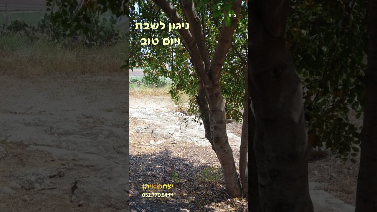 ניגון לשבת ויום טוב, ניגון חב"ד. ניגון רל"ב בספר הניגונים