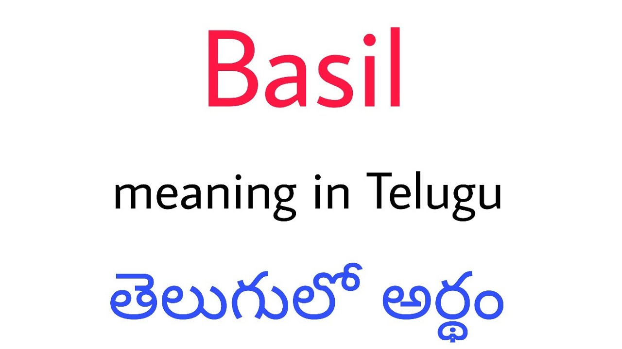 Basil meaning in Telugu || Basil   || Basil telugu meaning ||  Basil meaning || Basil
