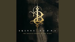 Pro-test - Skinny Puppy