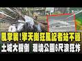 巴威風掌猛襲!陽明山擎天崗恐怖暴雨+12級陣風 記者險站不穩 各地災情現 土城大樹倒塌阻通行 高雄鳳山千戶停電搶修中 潮境公園驚見恐怖6尺巨浪狂炸岸邊｜TVBS新聞 @TVBSNEWS01