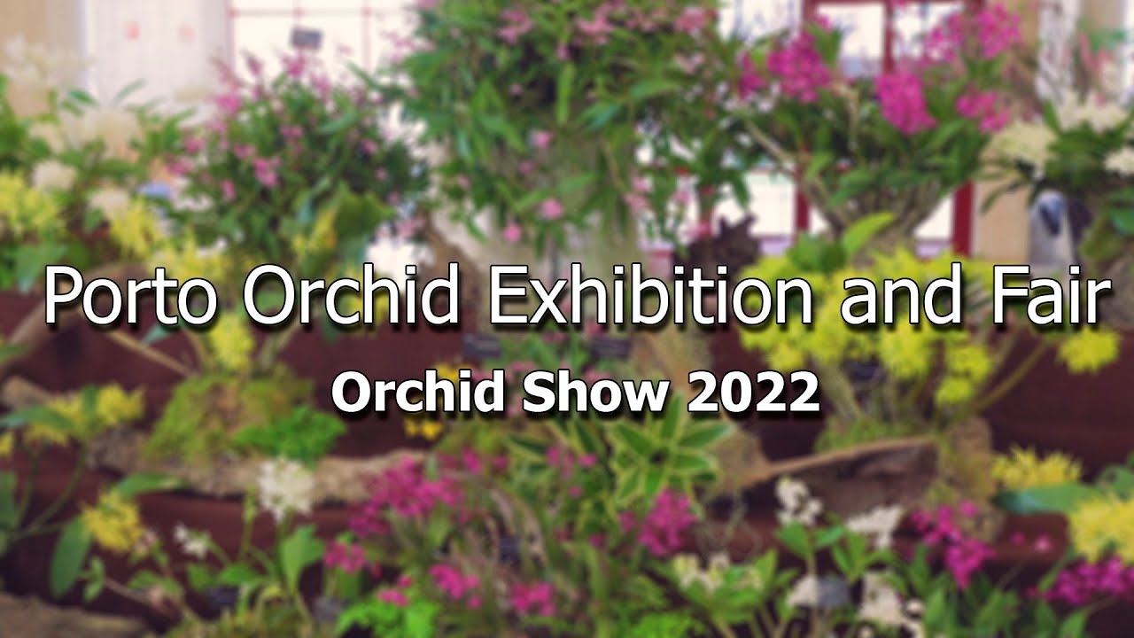 Porto International Exhibition and Fair // Orchid Show 2022