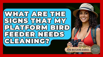 What Are The Signs That My Platform Bird Feeder Needs Cleaning? - Bird Watching Diaries