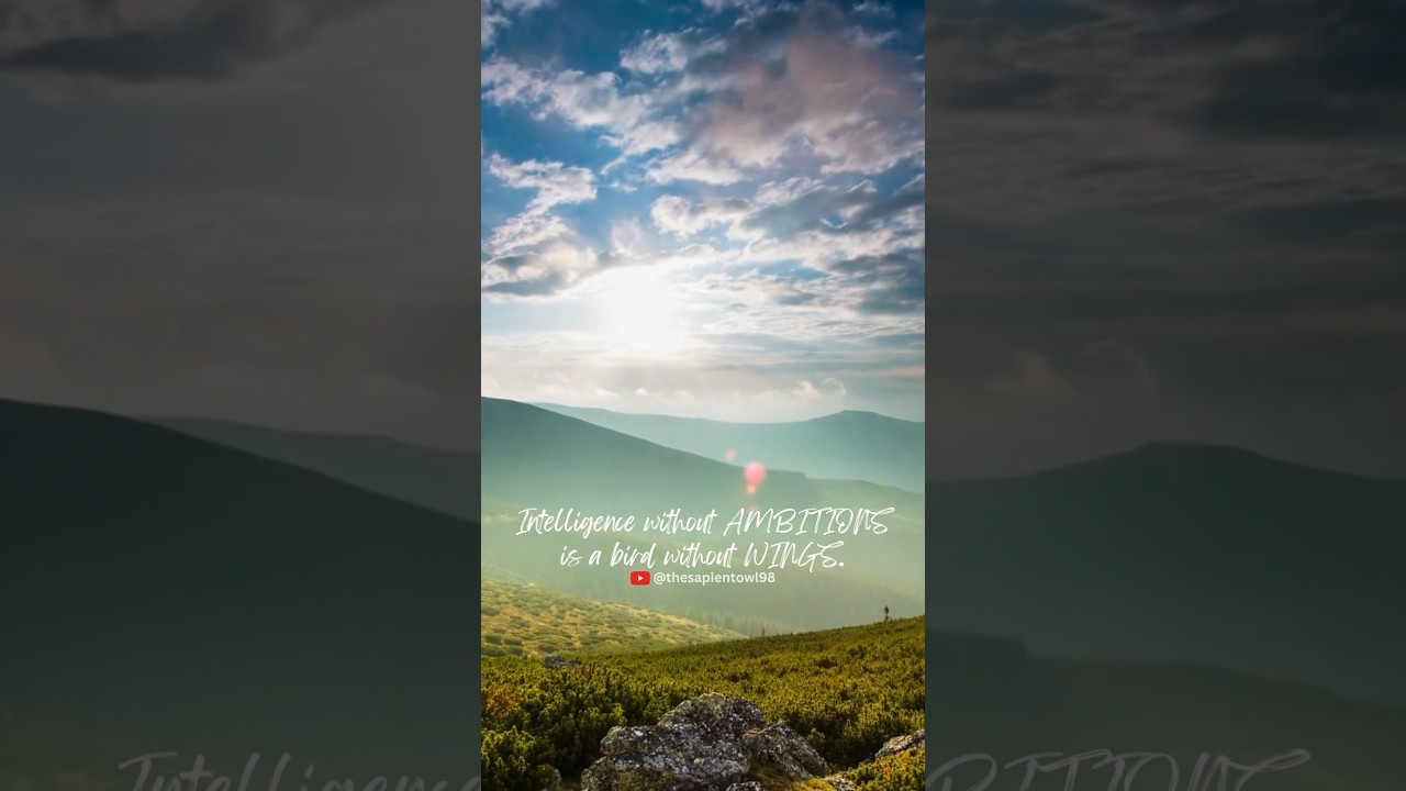 Satisfactory Saturday 3 🇮🇳 | The Sapient Owl