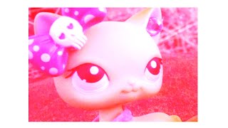 POV You're Brooke Hayes (Playlist) (Swear warning)