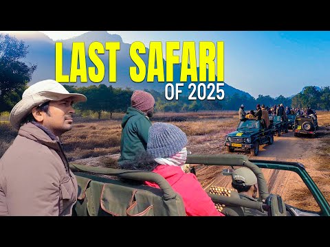 I Took My Subscribers On Safari And This Happened