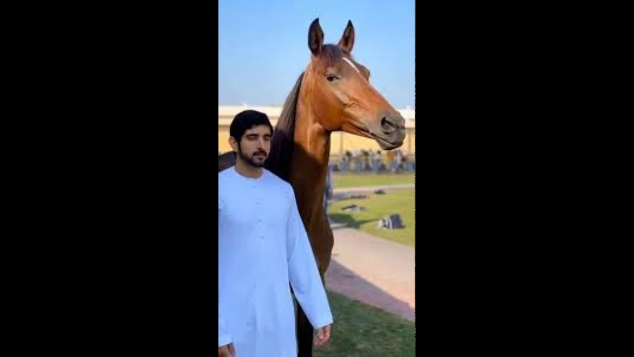 Update On Mobile| Sheikh Hamdan Fazza Poetry | Prince of Dubai | Fazza Poems