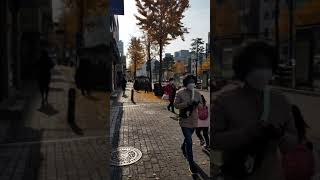 20201114 143621
