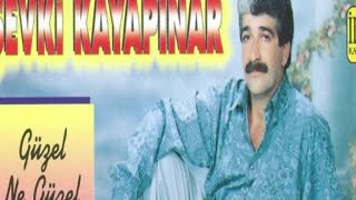 Şevki Kayapınar - Yaban Gülü