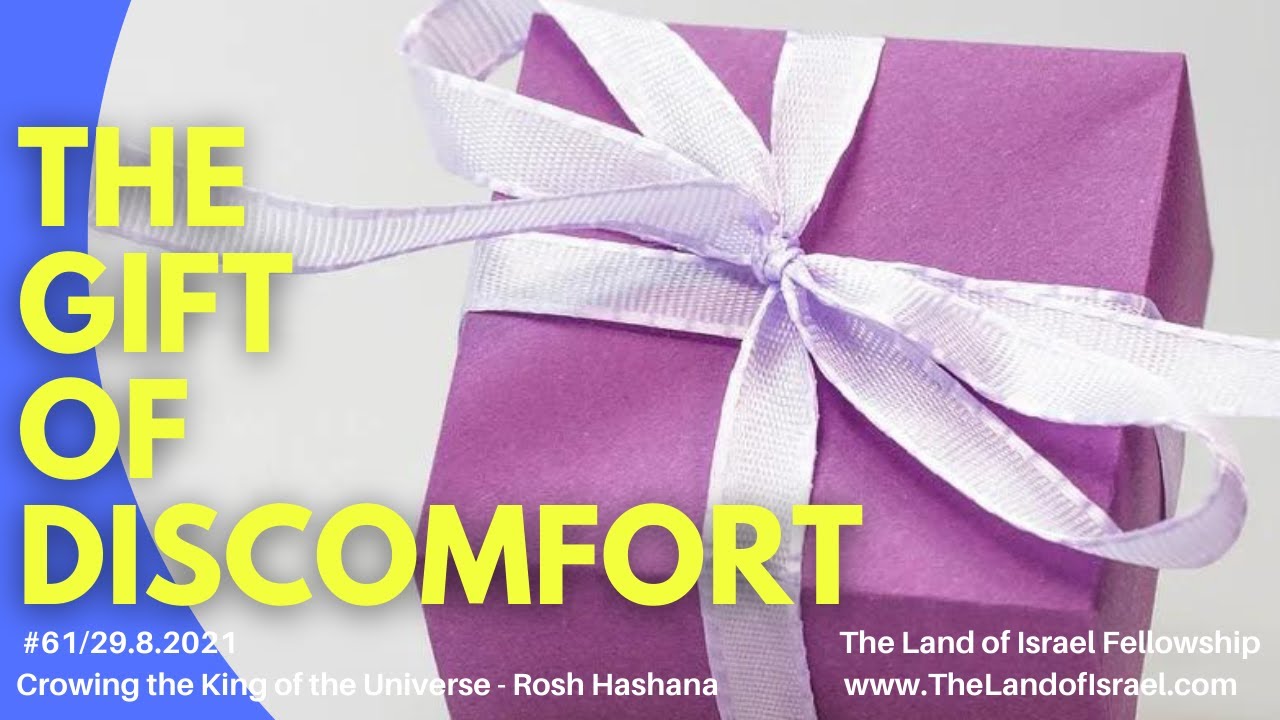 The Gift of Discomfort - Ari Abramowitz: The Land of Israel Fellowship