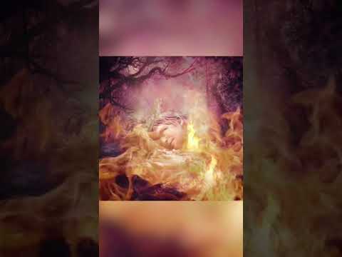 Winter is coming. 12/21 to be exact. “I Want A Dog” drops from the new SZNZ EP this Friday, 12/9.