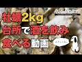 【生牡蠣2kg】金曜夜にキッチンでひたすら捌いて飲む！酒がとまらない