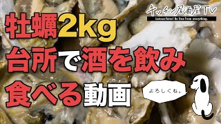 【生牡蠣2kg】金曜夜にキッチンでひたすら捌いて飲む！酒がとまらない