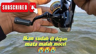 mancing ikan muduk atau ikan kapasan di sore hari tarikannya joss😁