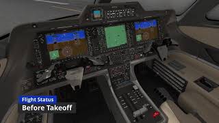 Aerobask Phenom 300 Tutorial | X-Plane 11 + VATSIM [EN]