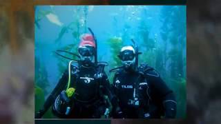 Santa Cruz Island Boat Dive 1080p