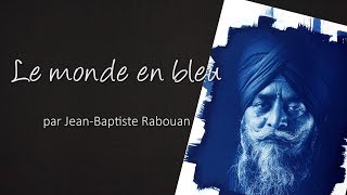 Le Monde en Bleu screenshot 5