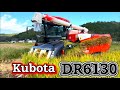 Kubota DR6130クボタの6条130馬力コンバインで刈り取りSTAR🏃‍♂️