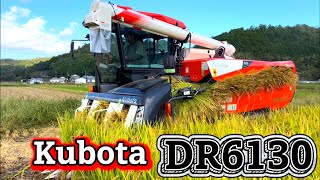 Kubota DR6130クボタの6条130馬力コンバインで刈り取りSTAR🏃‍♂️