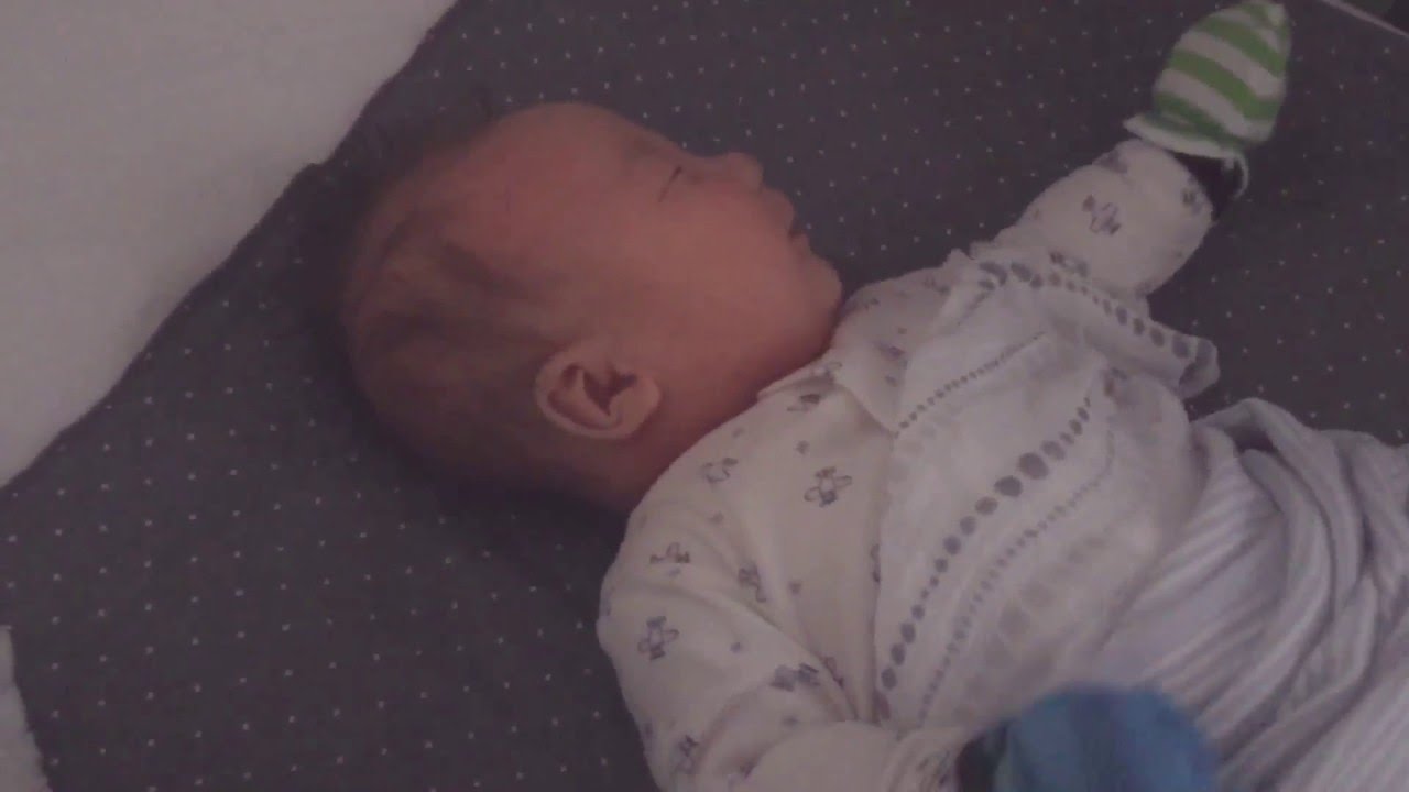 Heard A Lot Of Grunting In Morning YouTube