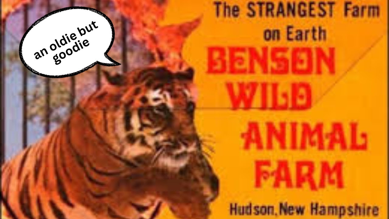 Vintage NH: Benson's Animal Park | Urban Explorations 
