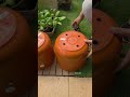 DIY Planter Drainage: The Smart Way to Repurpose Pots!