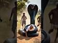Female Soldier Saves Grandmother And Villagers From Monster Cobra Snake Trending Ai Animals