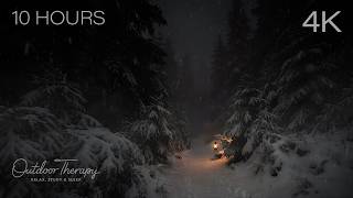 Snowfall Through the Ancient Forest Path | Winter Wind &amp; Snow Ambience for Deep Sleep | 10 HOURS