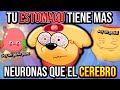 ¡25 DATOS SOBRE TI MISMO que NO deberías SABER! | Wooow 😨