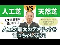 人工芝vs天然芝｜人工芝最大の弱点を言っちゃいます！それぞれのメリットとデメリットを解説