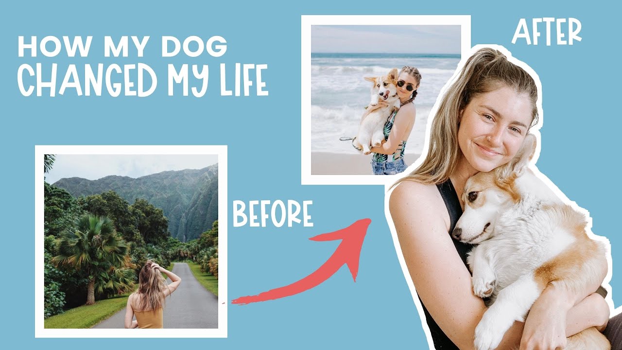 8 Ways Getting A Dog Changed My Life How Will A Puppy Change My Life