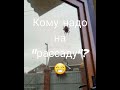 с каждым годом их все больше😱