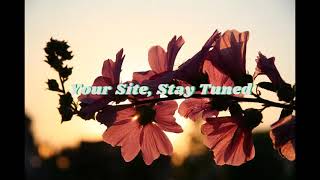 travelLight Music by Airtone screenshot 5