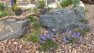 Water Wise Gardening Tips