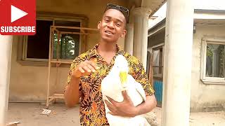 How To Start A Small Scale Geese (Goose) farming In Nigeria!!!