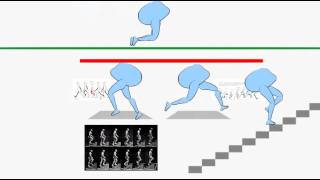 anime studio test anim jump walk run