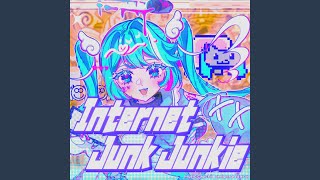 Internet Junk Junkie (Unflipped)