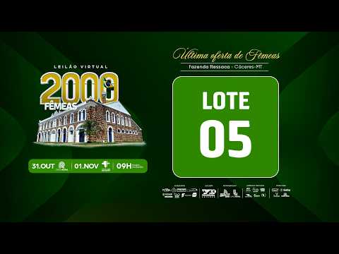 LOTE 05