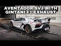 Gintani Aventador SVJ Arriving In Cape Town + Car Spotting