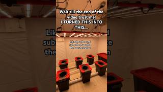 Dwc To Rdwc The Ultimate Hydroponic Grow Room Transformation Easy Massive Roots