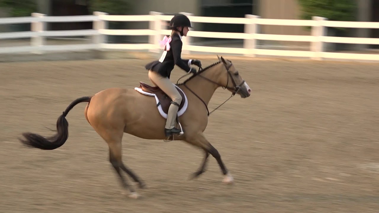 593 Tessa Buchanan Rose Gold YouTube