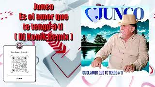 Junco - Es el amor que te tengo a ti ( Dj Konik Remix )