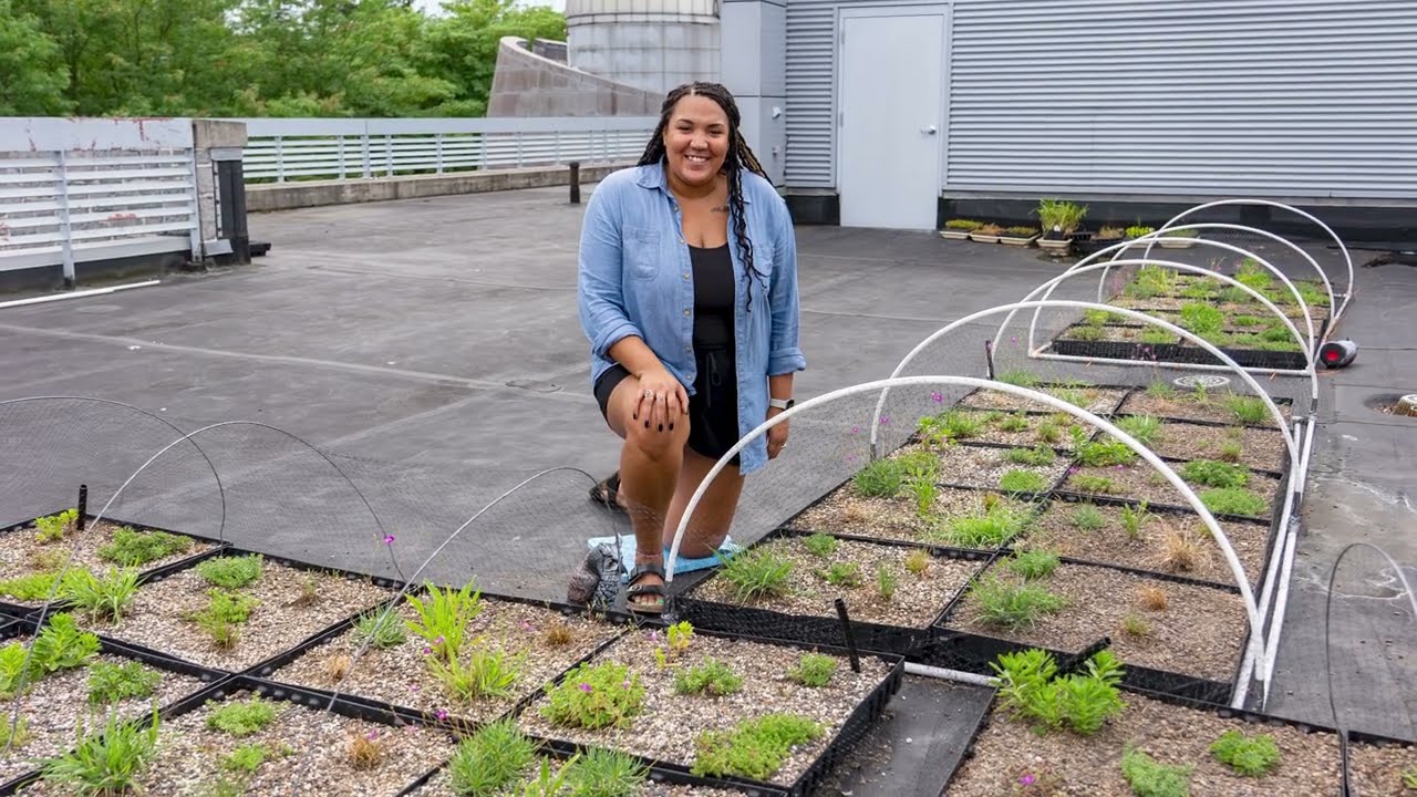 Living Laboratory on Roof of Tome Hall
