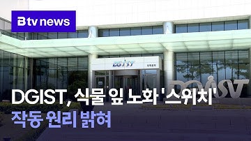 DGIST, 식물 잎 노화 ‘스위치’작동 원리 밝혀
