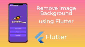 Remove Image Background using Flutter | Image Background Remover API Integration | Flutter GetX API