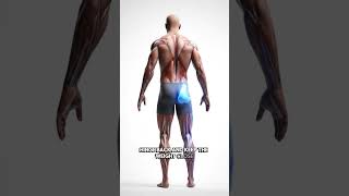 Stop Skipping Leg Day — Build Bigger Legs at Home