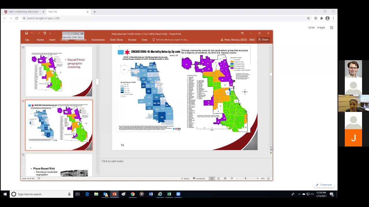 Monica Peek MD MPH - Health Disparities and the COVID-19 Pandemic