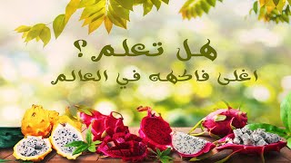 اغلى فاكهه في العالم  - واسرع استثمار