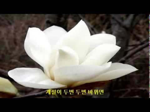 방미 계절이 두번 바뀌면