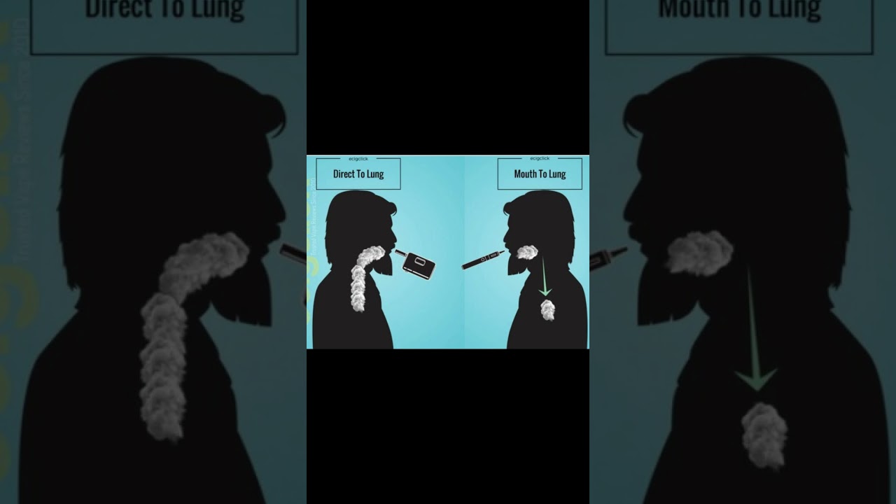 FORT SHISHA 45000 and Our Products 