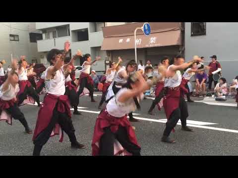 香川大学よさこい連"風華"「誇道」2017高知よさこい愛宕競演場3+